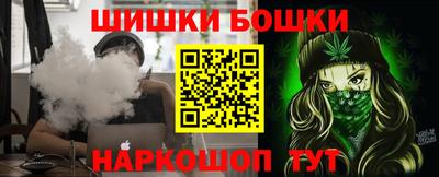 стаф Дубна