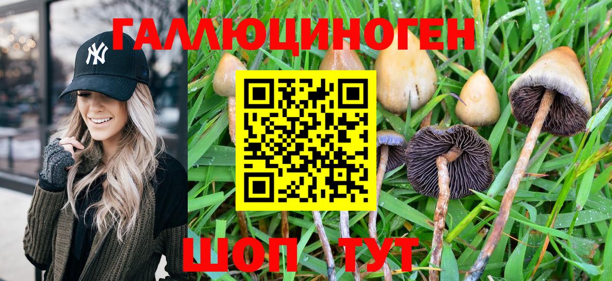 Псилоцибиновые грибы GOLDEN TEACHER Муром
