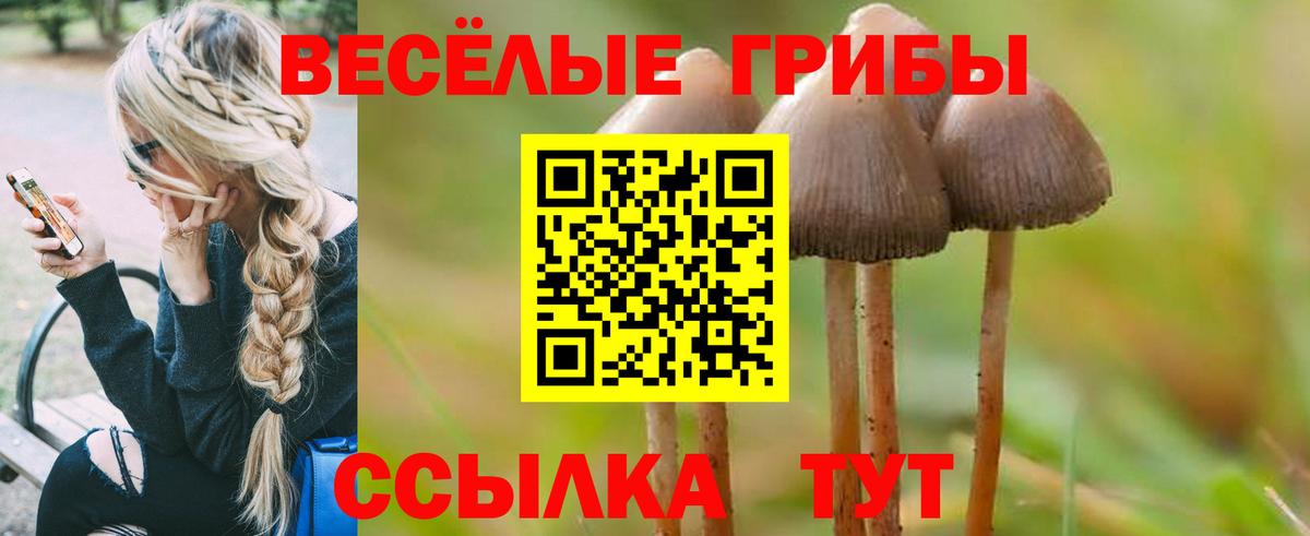 Муром  Галлюциногенные грибы GOLDEN TEACHER  Псилоцибиновые грибы мицелий  Вход с VPN 